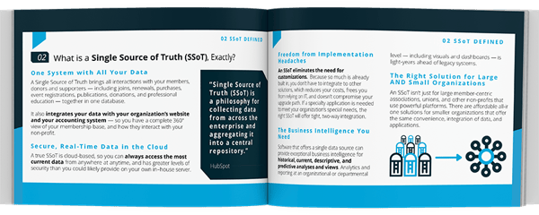 Two sample pages from the "It's Not You, It's Your Data Silos" whitepaper.