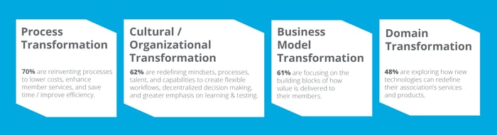 Process Transformation, Cultural / Organizational Transformation, Business Model Transformation, Domain Transformation
