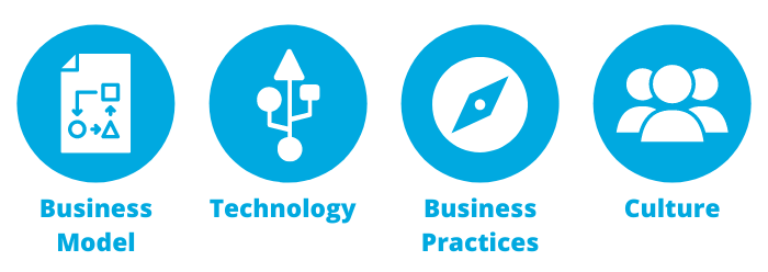 Plan Components: Business Model, Tech, Business Practices, Culture