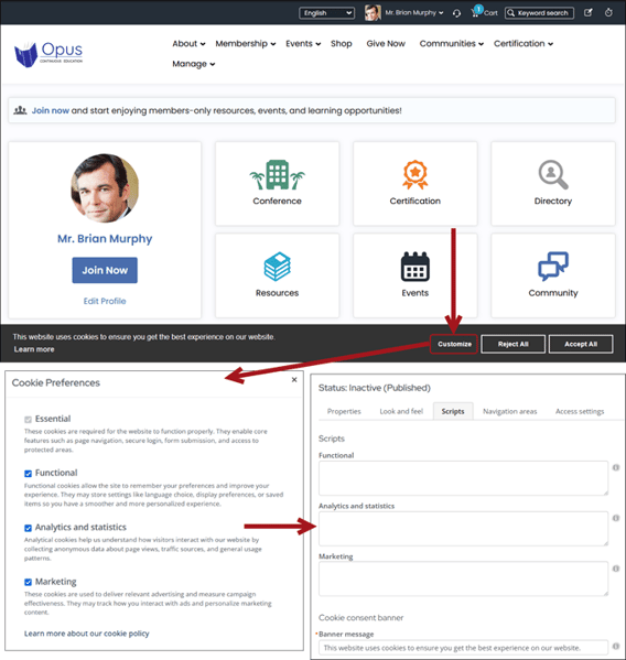 Scripts tab and Cookie consent banner for RiSE websites