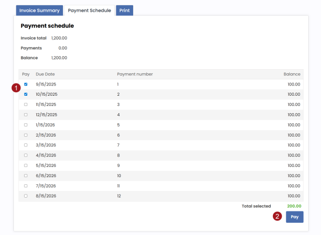 Public users navigate to their account, select the installments they wish to pay, and proceed to the shopping cart to complete payment using their chosen payment method.