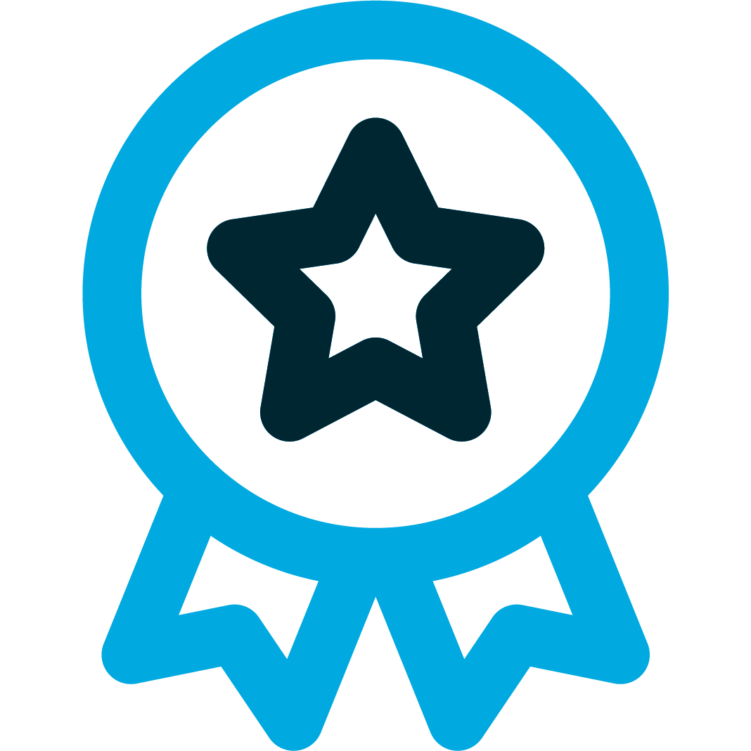 Medal icon