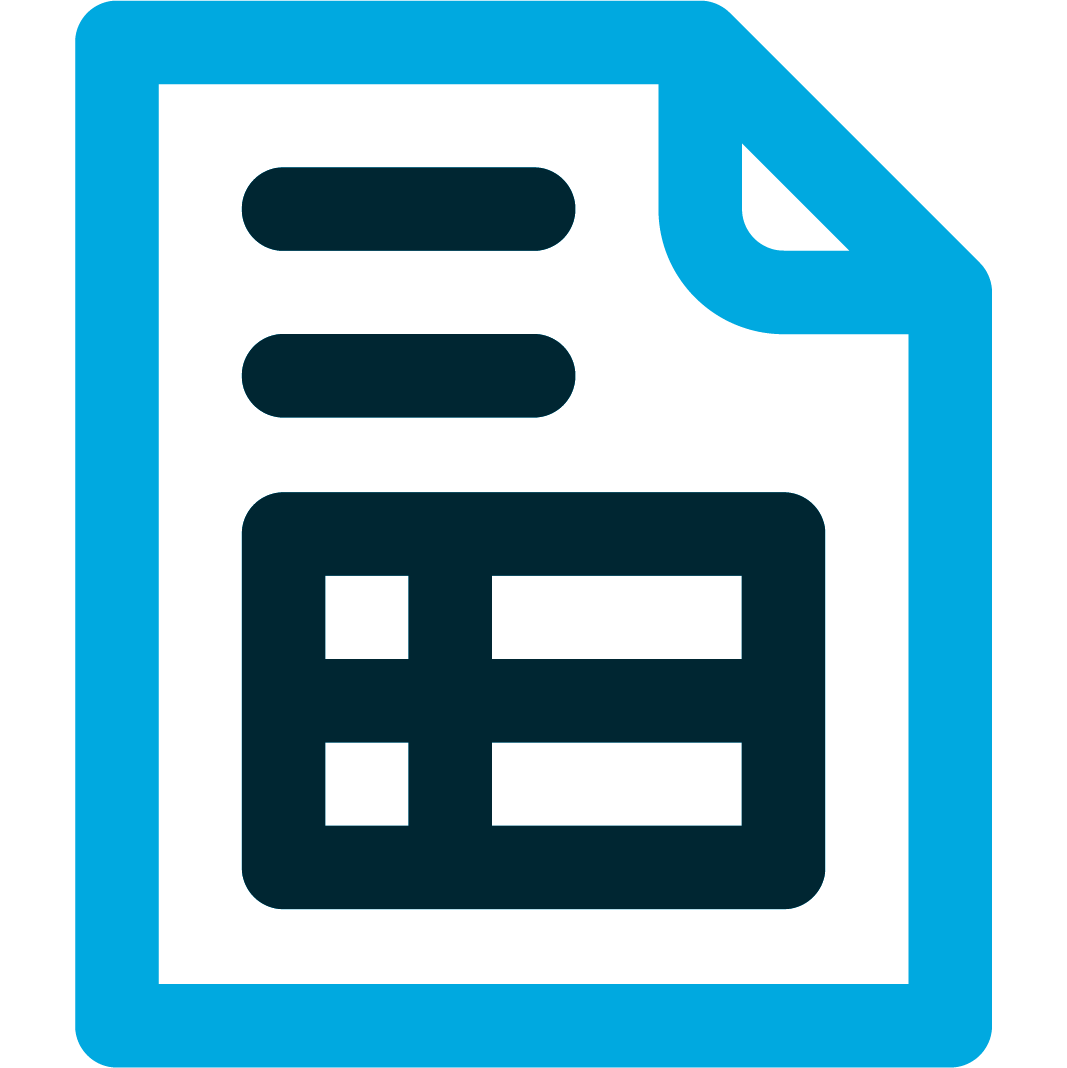 Document icon